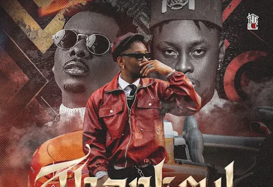 HighstarLavista – Thankful ft. Terry Apala