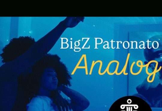 BigZ Patronato - Analog