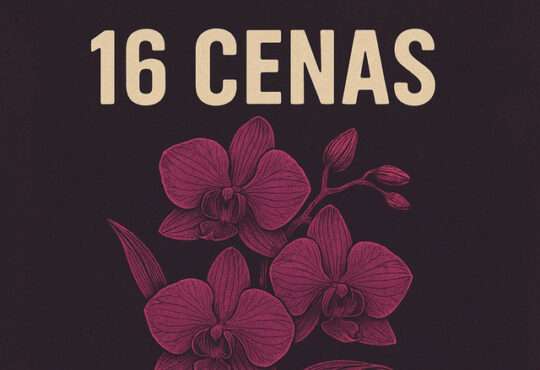 16 Cenas - Orquídeas