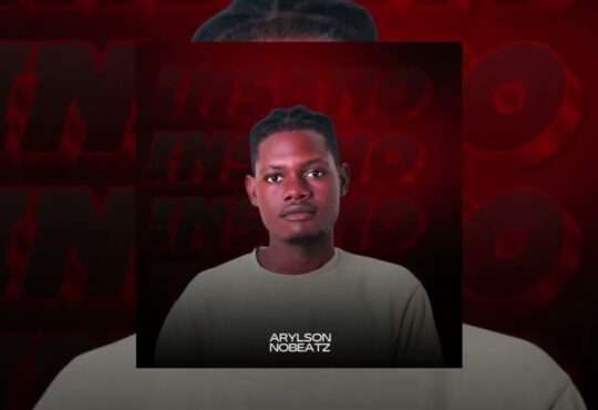 Arylson no Beatz - Insano (Instrumental Afro House)