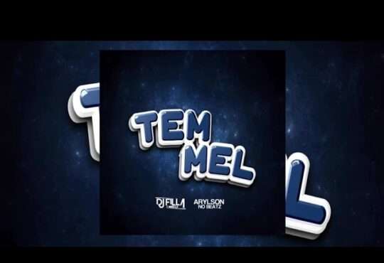 Dj Filla Carrega ft. Arylson no Beatz - Tem Mel (Instrumental Afro House)