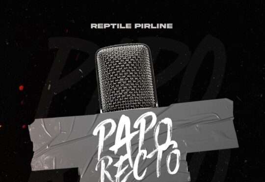 Reptile Pirline - Papo Recto