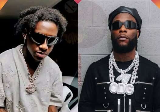 Shallipopi ft. Burna Boy - Laho II
