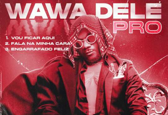 Twenty Fingers - Wawa Dele PRO