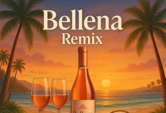 Márcio Beats & DJ Johnny By - Ballena (Remix)