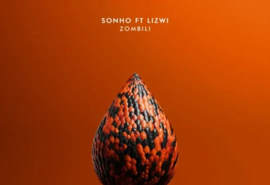 Sohno & Lizwi - Zombili