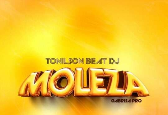 Tonilson Beat Dj - Moleza (Instrumental Afro House)