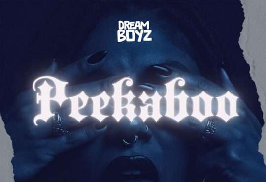 Dream Boyz - Peekaboo