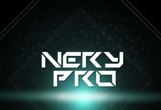 Nery Pro ft. Dj Stony B - Ok Ok (Instrumental Afro House)