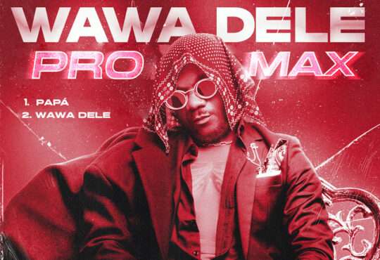 Twenty Fingers - Wawa Dele