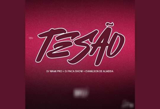 Dj Wami Pro ft. Evanilson de Almeida x Dj Paca Show - Tesão (Remix)