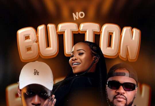 Leonel Patricinho x Yasmim Azevedo ft. Tchu Mário Wanga - No Button
