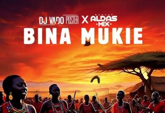 Dj Vado Poster & Dj Aldas Mix - Bina Mukie (Kwassa)