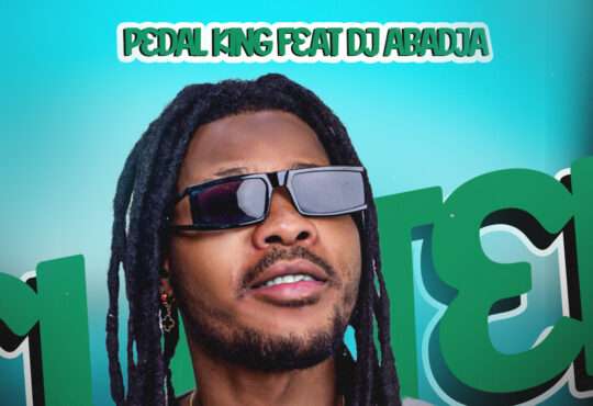 Pedal King & Dj Abadja - Ela Tem Que Pagar