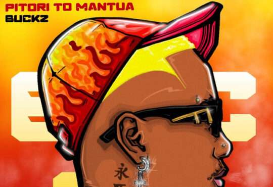 DJ Buckz - Pitori to Mantua (feat. Black Motion & Spice Drums)