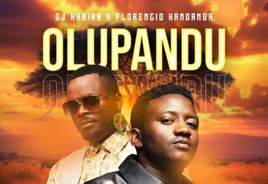 Dj Habias ft. Florencio Handanga - Olupandu