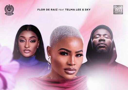 Flor de Raiz ft. Telma Lee & Sky 420 - Bolingo