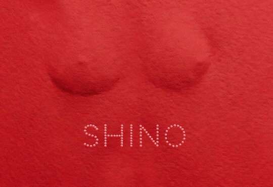 Skiibii ft. Oxlade - SHINO