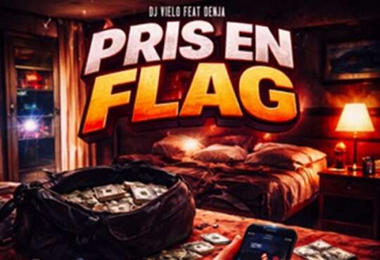 DJ Vielo - Pris en Flag (feat. Denja)