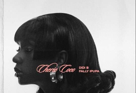 Didi B - Cherie Coco (feat. Fally Ipupa)