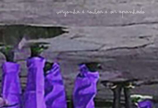 Hernani - Vergonha é Roubar e Ser Apanhado (EP)