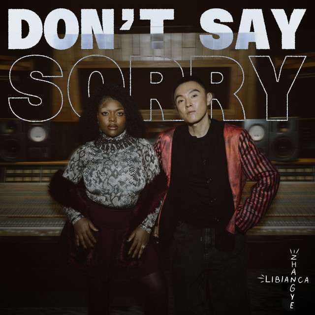 ZHANGYE - Don't Say Sorry (feat. Libianca)